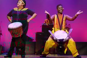 Cape Town: Silvermist Estate Wine Tasting & Drumstruck Show