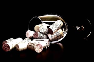 Le Cap : visite des vignobles de pinotage de Stellenbosch avec dégustation