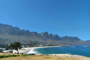 Cape Town: Taffelberget og pingviner - privat guidet tur