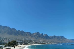 Cape Town: Taffelberget og pingviner - privat guidet tur