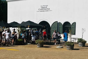 Ciudad del Cabo: tour de 1 día a la montaña de la Mesa, jardines y vino