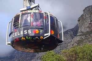 Cape Town: Table MT, Cape Point & Penguins Instagram Tour