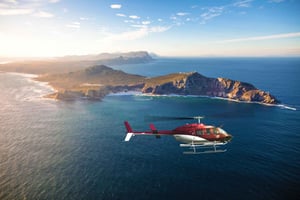 Cape Town to Cape Point Helicopter Flight - 48Min