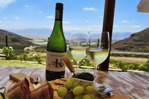 Cape Town: Two valleys wine tour with Springboks farm