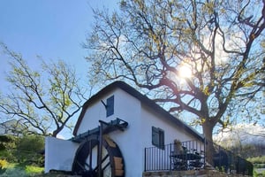 Cape Winelands: wycieczka kulinarna z lunchem