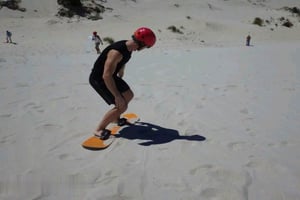 ケープタウン：美しい砂丘での素晴らしいサンドボード ツアー