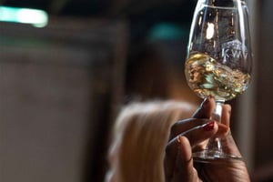 Kapkaupunki: Brandy & Whiskey Tastings + Distillery Tour: Brandy & Whiskey Tasting + Distillery Tour