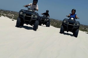 Le Cap : tyrolienne, quad et ferme aux autruches