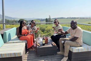 Constantia Half day Wine Tasting tour