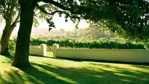 Constantia Uitsig Wine Estate