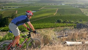 Dirtopia Trail Centre and Lodge