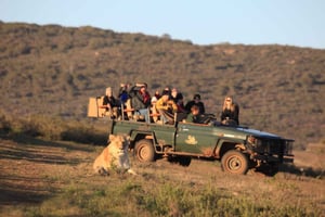 Från Kapstaden: 5-dagars Garden Route & Addo Elephant Park Tour