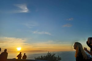 Privat guidet tur til Kap Det Gode Håb