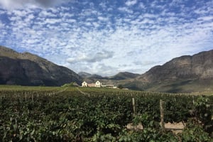 Koko päivän yksityinen viinireittikierros