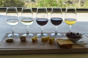 Visite d'une jounée avec 14 dégustations de vins + déjeuner inclus