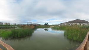 Green Point Urban Park