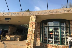 Group Tour of Cape of Good Hope and Boulders Beach Penguins