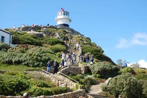 Från Kapstaden: Halvdagsutflykt till Cape Point och pingvinerna