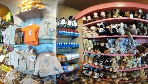 Indaba Cape Town International Airport