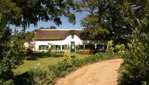 Ken Forrester Vineyards