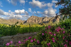 Paarl: Dekkersvlei vinprovning