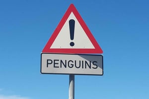 Private Cape of Good Hope Guided Tour