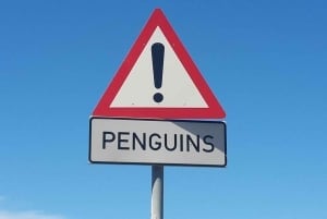 Prywatna wycieczka z przewodnikiem do Przylądka Dobrej Nadziei