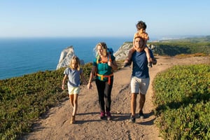 Dégustation de vin au Cap : Journée complète Vineyards & Views