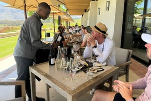 Visite privée de dégustation de vins : Stellenbosch, Franschhoek, Paarl