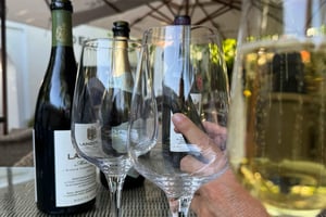 Частный винный тур: Посетите Стелленбош, Франшхук и Паарл.