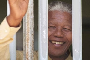 Robben Island, Kirstenbosch wine tasting Tour