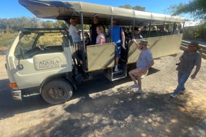 SAFARI: Ciudad del Cabo, Aquila Big 5 y almuerzo (servicio de recogida del hotel incluido).