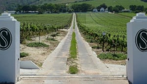 Seidelberg Wine Estate