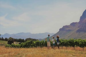 ステレンボッシュ：4WD ワインランドのプライベート エクスペリエンス