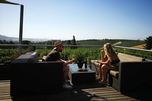 Stellenbosch: Best of the Winelands Private Tour & Tastings