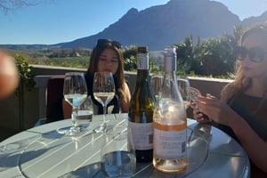 Stellenbosch, Franshoek, Paarl-regionen (20 vinprovningar)