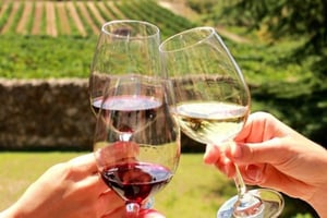 Stellenbosch: Halvdagsutflykt i vin