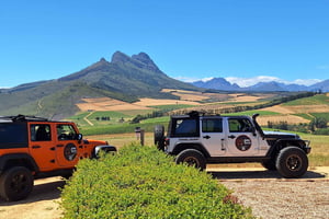 Stellenbosch: Wijn Tour - Bekroonde Jeep Tours Kaapstad