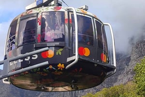 Cape Town: Table Mountain, Cape Point, & Penguins Group Tour