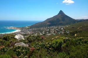 Table Mountain: Enkel spasertur for hele familien - PRIVAT