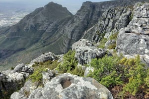 Table Moutain & Cape Peninsula: Full-day Tour