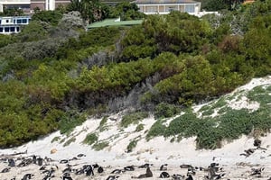 La experiencia definitiva en el Cabo de Buena Esperanza