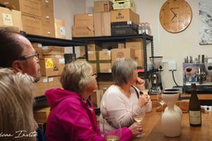 Tre distretti vinicoli del Capo: tour privato con enologo.