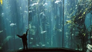 Two Oceans Aquarium