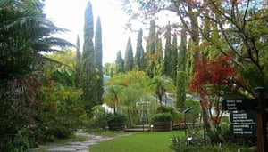 University of Stellenbosch Botanical Gardens