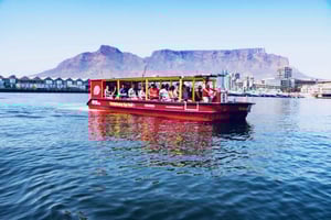 Cape Town: 30 Minute Seal-Watching Harbour Cruise