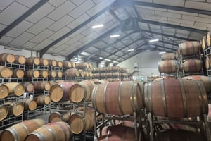 Тур по виноградникам: дегустация вин и сыров и прогулка по Франшхуку