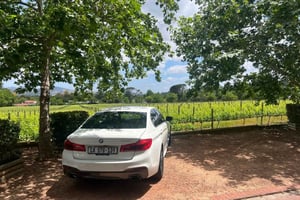Experiência de prova de vinhos em Stellenbosch, Franschhoek e Paarl