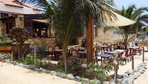 Barracuda Restaurant