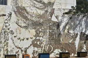 Tour sulla vita e la musica di Cesaria